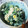 キュンキュン☆☆'s cooksnap of when they made 鉄分たっぷり！レンジでほうれん草の白和え.