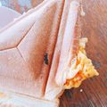 ﾂﾎﾞﾐ's cooksnap of when they made 感動♡レンジでとろとろスクランブルエッグ.