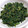 クックTBK3HH☆'s cooksnap of when they made ほうれん草の胡麻和え.