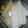 きみふく's cooksnap of when they made ゆず大根.
