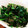 coffeemint's cooksnap of when they made 【農家のレシピ】ほうれん草の海苔和え.
