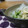 ダイナマイト漆黒's cooksnap of when they made 釜揚げしらすと大根のサラダ.