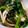 おやつ大好き☆'s cooksnap of when they made ほうれん草とちくわとハムのゴマ和え.