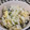 ヨガLOVE's cooksnap of when they made セリと舞茸の炊き込みご飯.