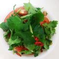 さくら2016's cooksnap of when they made これがオリジナル。パクチーのアジアン冷奴.