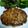 ビションちゃん's cooksnap of when they made 簡単に豆腐ハンバーグ 豚ひき肉ver.