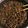 クックQE1IVC☆'s cooksnap of when they made いかなごのくぎ煮.