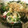 ☆mikyuu☆'s cooksnap of when they made ほうれん草とえのきの梅かつお和え.