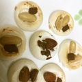 みゆこみた's cooksnap of when they made サクサク！香ばしマシュマロクッキー.