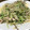 なるこォ's cooksnap of when they made 安くて！簡単！豆苗ともやしの炒め物★.