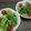 ジョングレ's cooksnap of when they made アスパラ和風サラダ.