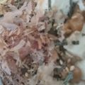 sakimama☆★'s cooksnap of when they made お腹満足♪卵のせ豆腐丼.