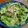 Hokke＊'s cooksnap of when they made サバの味噌缶とレタスの簡単サラダ.
