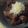 クックG3X9FA☆'s cooksnap of when they made お酢de【砂肝のしぐれ煮】.