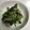 あきら６６'s cooksnap of when they made ゴマ香る☆ほうれん草とごぼうのからし和え.