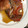 ハルゾ〜's cooksnap of when they made 甘々とろとろ〜タラの煮付け.