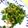 berineko's cooksnap of when they made 小ネギのやみつきサラダ.