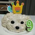 mjtf's cooksnap of when they made 犬用　ヘルシーお誕生日ケーキ♪.