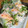ChunChun☆≡'s cooksnap of when they made 簡単de野菜たっぷり生春巻き♪絶品ソース.
