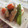 Amalka's cooksnap of when they made 我が家の定番♪筑前煮.