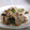 ayakaL7's cooksnap of when they made 小松菜の野菜炒め.