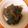 うさこママ★'s cooksnap of when they made こんにゃくと玉ねぎの生姜炒め.