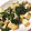がちゃ29's cooksnap of when they made 中華風厚揚げの煮物。.