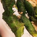 mezuchin's cooksnap of when they made ♡５分で完成！ささみ大葉チーズ♡.