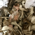 せりあ☆16's cooksnap of when they made 簡単！秋鮭ときのこの蒸し焼きフライパンで.