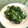 アンドーナツ☆'s cooksnap of when they made なばなの塩麹 からし和え！.