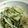 シロノワール's cooksnap of when they made 豚ばら肉と水菜の炒め物.