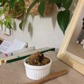 クックJKXBT4☆'s cooksnap of when they made ケーキの具に！フルーツ＋ナッツのラム漬け.
