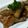 クックC7XK5N☆'s cooksnap of when they made さつまいもと手羽元の甘辛煮.