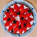 ズボラ女子高生's cooksnap of when they made 簡単ダブルベリーのガトーショコラ♪.