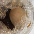 ma___111's cooksnap of when they made あら簡単！焼肉タレで濃い〜煮込まない煮卵.
