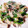 ☆ALICE☆☆'s cooksnap of when they made キノコとほうれん草のガリバタ炒め.