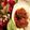 ゆうあやまま☆'s cooksnap of when they made ◆トマト煮込みハンバーグ♪◆.
