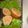 yasuna313's cooksnap of when they made 簡単おせち-6【八幡巻き】.