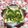 ぽぽきゅ's cooksnap of when they made 紫蘇香る❀乱切りピーマンの和トースト.