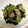 ちゅーたん★'s cooksnap of when they made ほうれん草と豚バラのバター焼き☆.