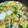 にじすき's cooksnap of when they made 野菜た～っぷりのあっさりカツとじ煮.