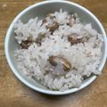 タルト・タタン's cooksnap of when they made ピーナッツご飯.