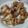 くーこぷ's cooksnap of when they made 鶏手羽元のレモン風味焼き.