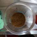 天才のりちゃん's cooksnap of when they made 【上級者向け】自家製ガラムマサラ.