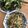 oda5yoko's cooksnap of when they made 豆苗、サバ缶、酢タマネギのサラダ？.