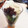 ななっしーー's cooksnap of when they made ほうじ茶アイス.