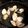 みくもんりん's cooksnap of when they made ハマグリの酒蒸し.