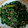 ェリンコ's cooksnap of when they made お母さんのほうれん草の胡麻和え.