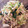 喜八＆Hacchi's cooksnap of when they made 鶏ささみとザーサイと三つ葉の和え物.