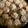 ぴちた☆'s cooksnap of when they made ふわふわ大きな肉団子♪.
